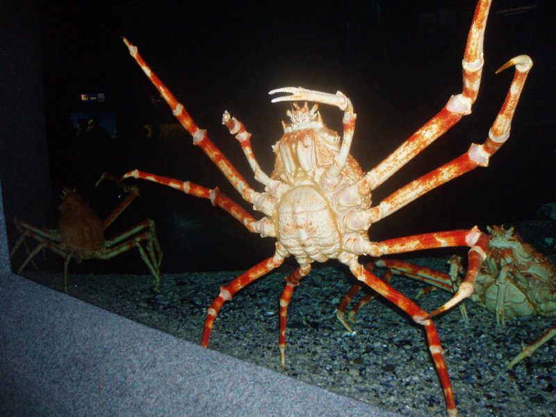 KeHa_in_South_Africa - 070